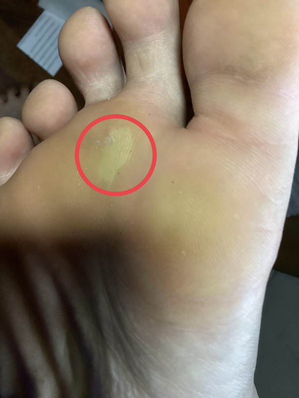 9A6D777E-A077-4D79-8C3C-EEAA3B3006AD