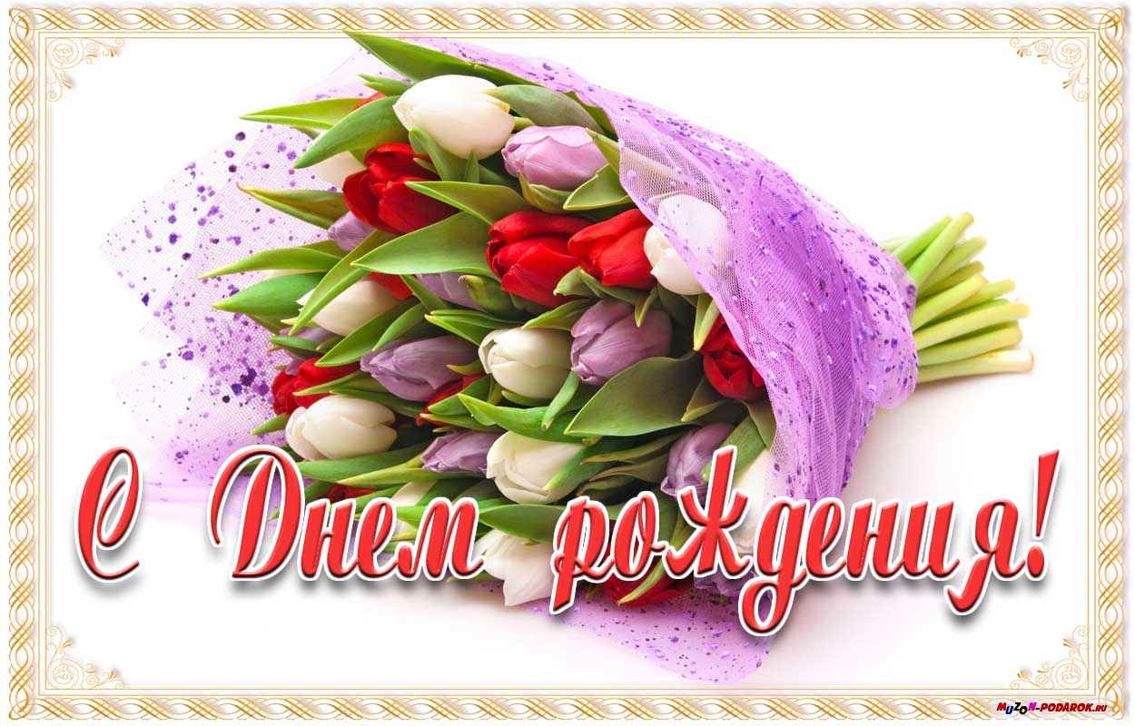 https://i.postimg.cc/wMrwdfnt/muzon-podarok-qi54jks.jpg