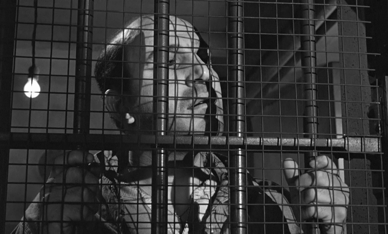 vlcsnap-2023-10-22-15h12m43s891