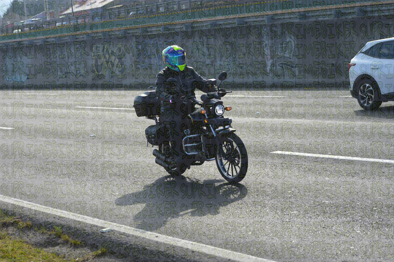 DSC 0019