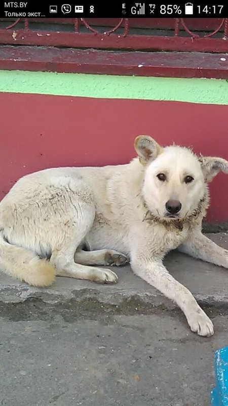 39F47BBF-34CD-4BCB-B9F3-6B2A24D81840