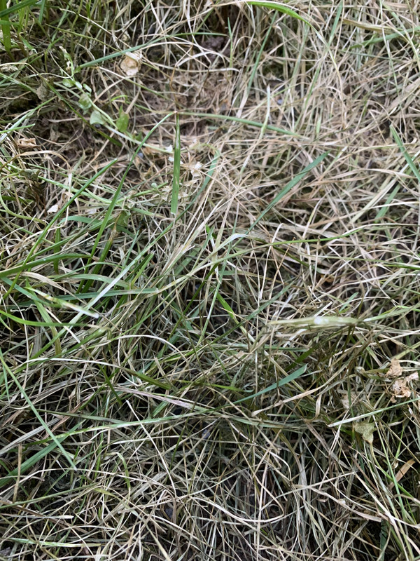 85BD95AC-E7D8-4FA1-A6D1-4977E2CBA921