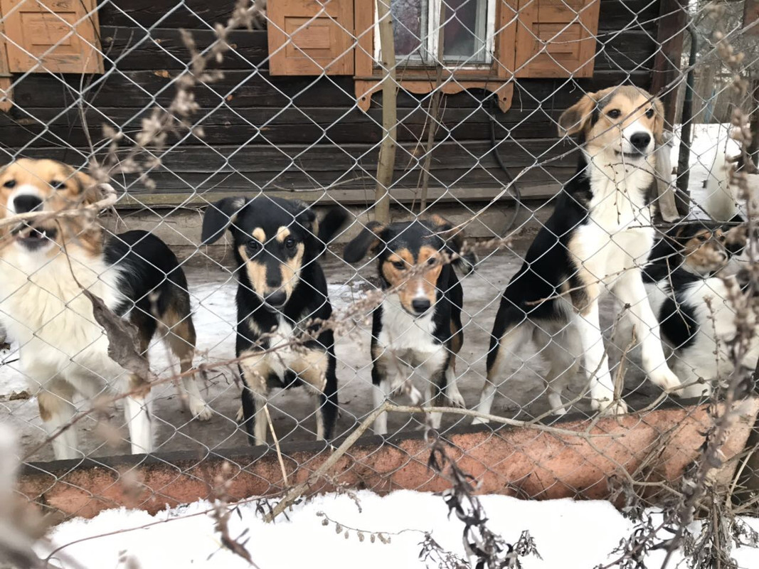 9DDC7461-AE77-45E8-A815-95F38D5424EA