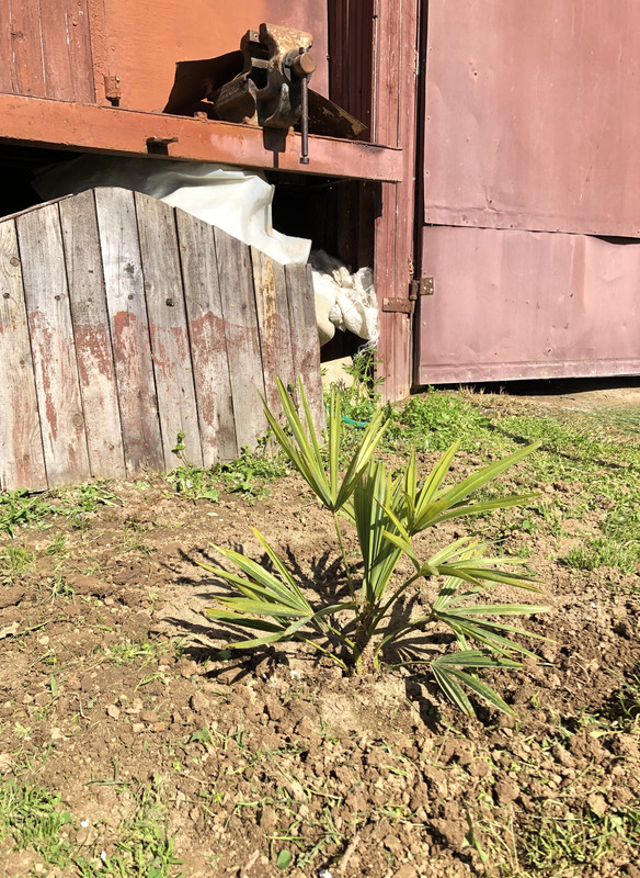 3F927981-D6BC-47D2-990B-9BF264D10946