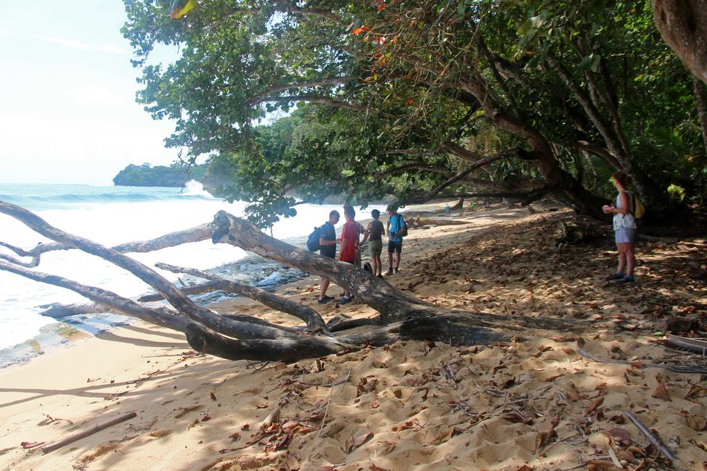 DE TORTUGAS Y PEREZOSOS. COSTA RICA 2019 - Blogs de Costa Rica - DIA 6: REFUGIO NACIONAL GANDOCA-MANZANILLO (10)