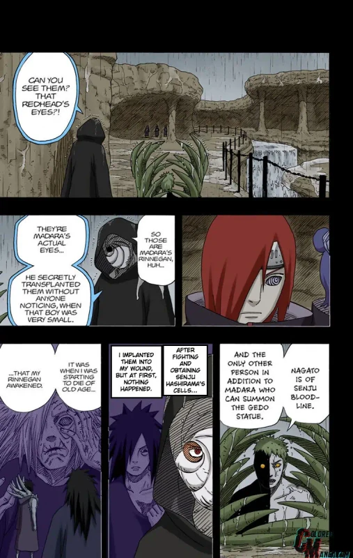 12372560 760 1200 128114