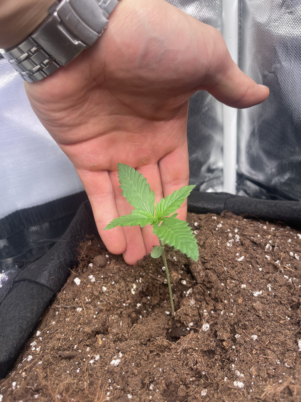 811006C0-14D6-4EA0-8EEC-EC2C77758C63