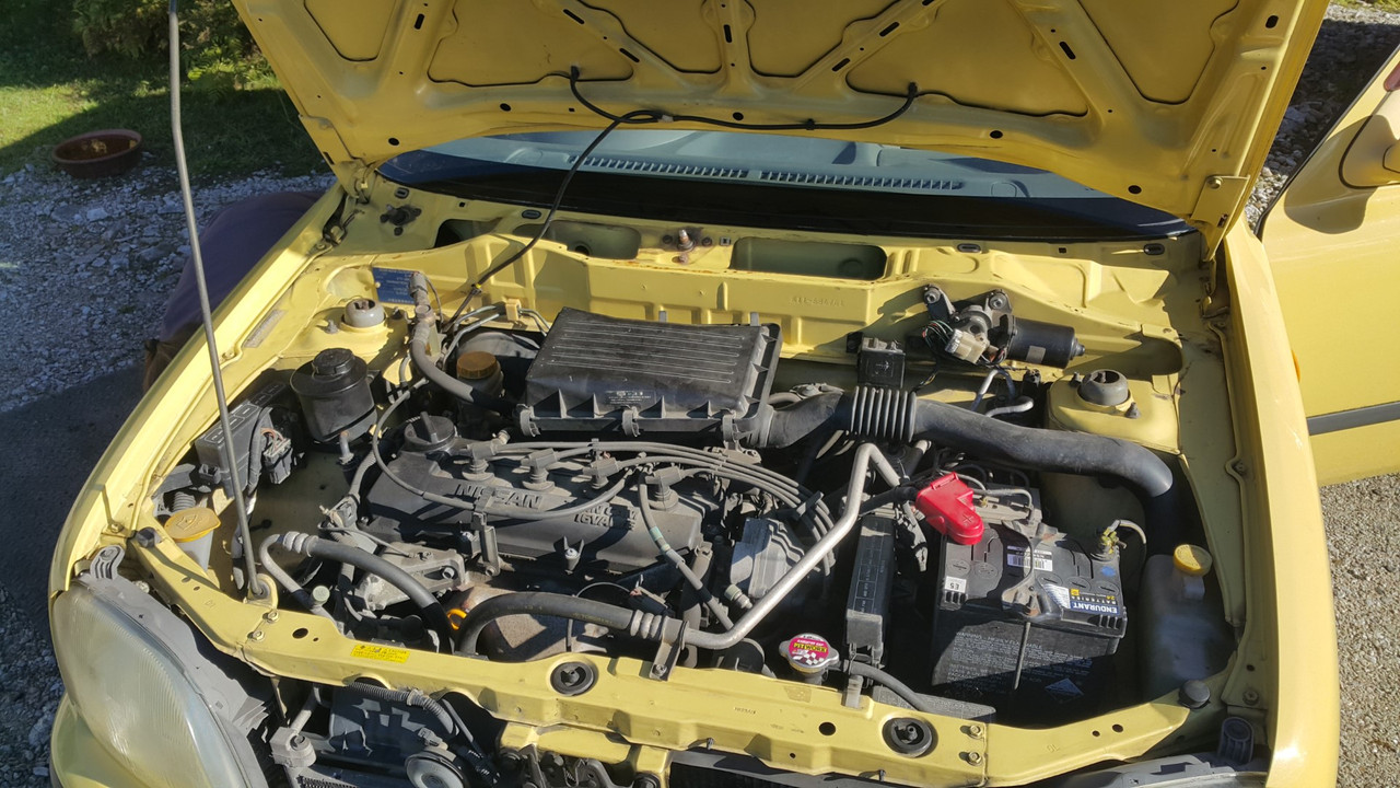 20210601_122225 (Large)