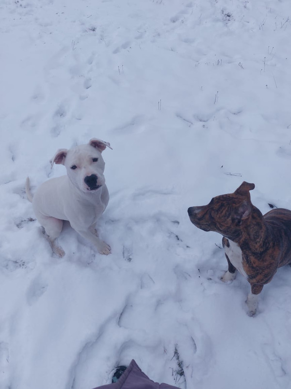 60055FEA-1F2A-4582-9D41-77B98338F874