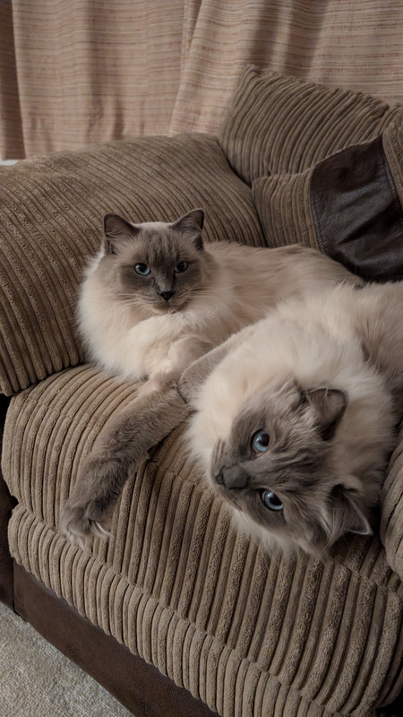 PXL 20251024 193817497