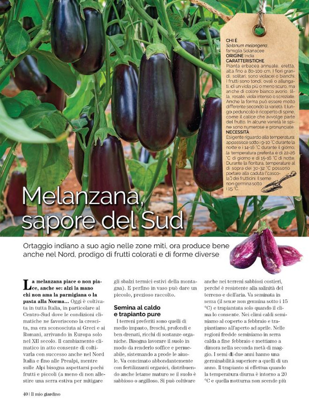 Il Mio Giar Apr-Mag 2023 (7)