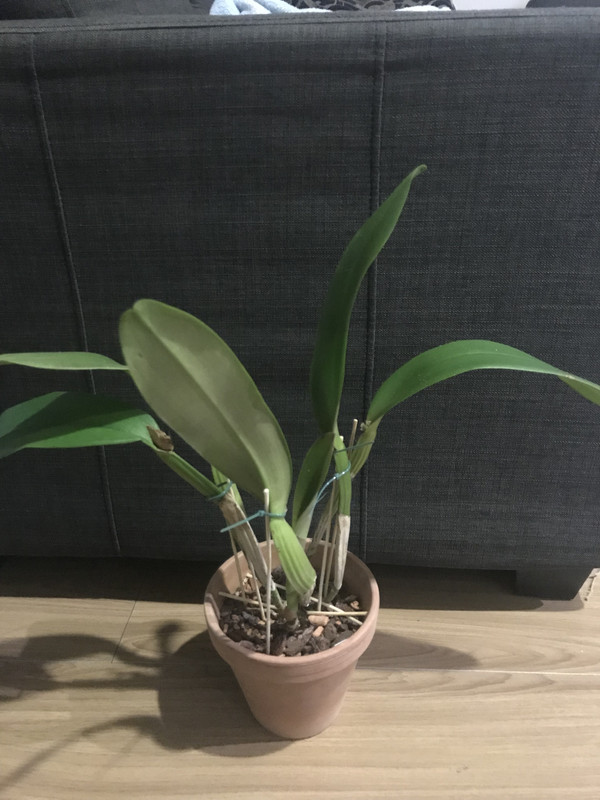 977A46E5-867C-4AA9-A80B-0EF2BA134928