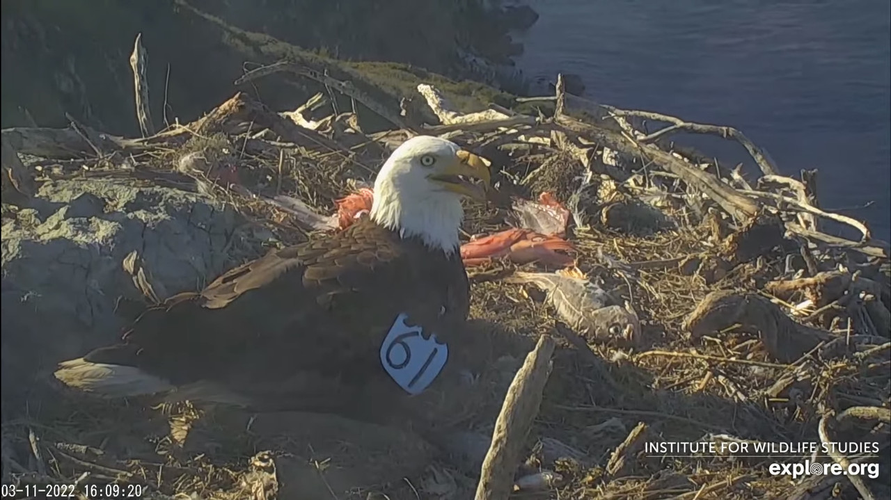 0EB0F78D-554F-4F33-9C49-30DAAAED8719