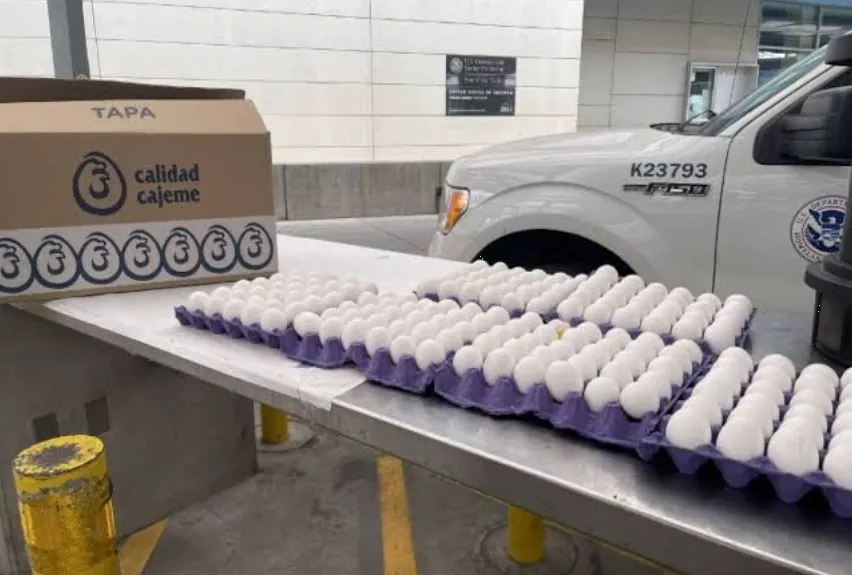 Autoridades fronterizas decomisan huevos mexicanos en Estados Unidos