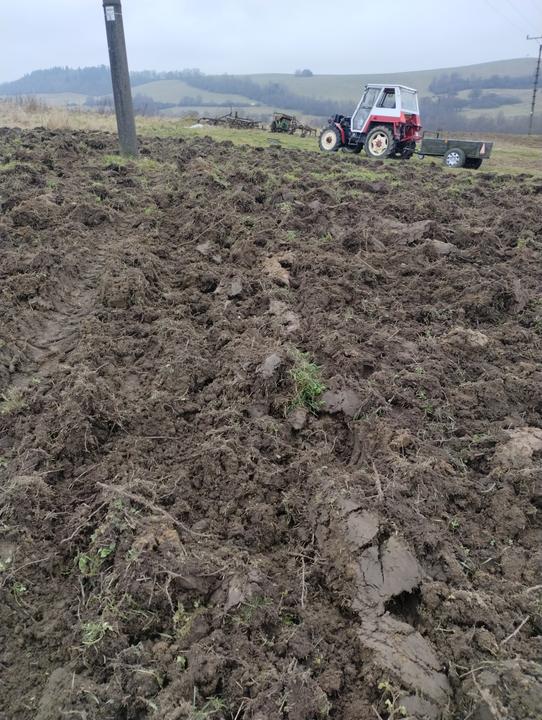 IMG 20251222 122209863