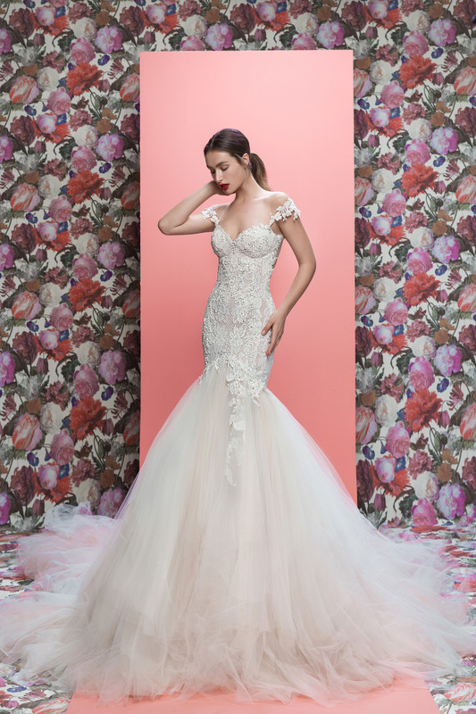 galialahav