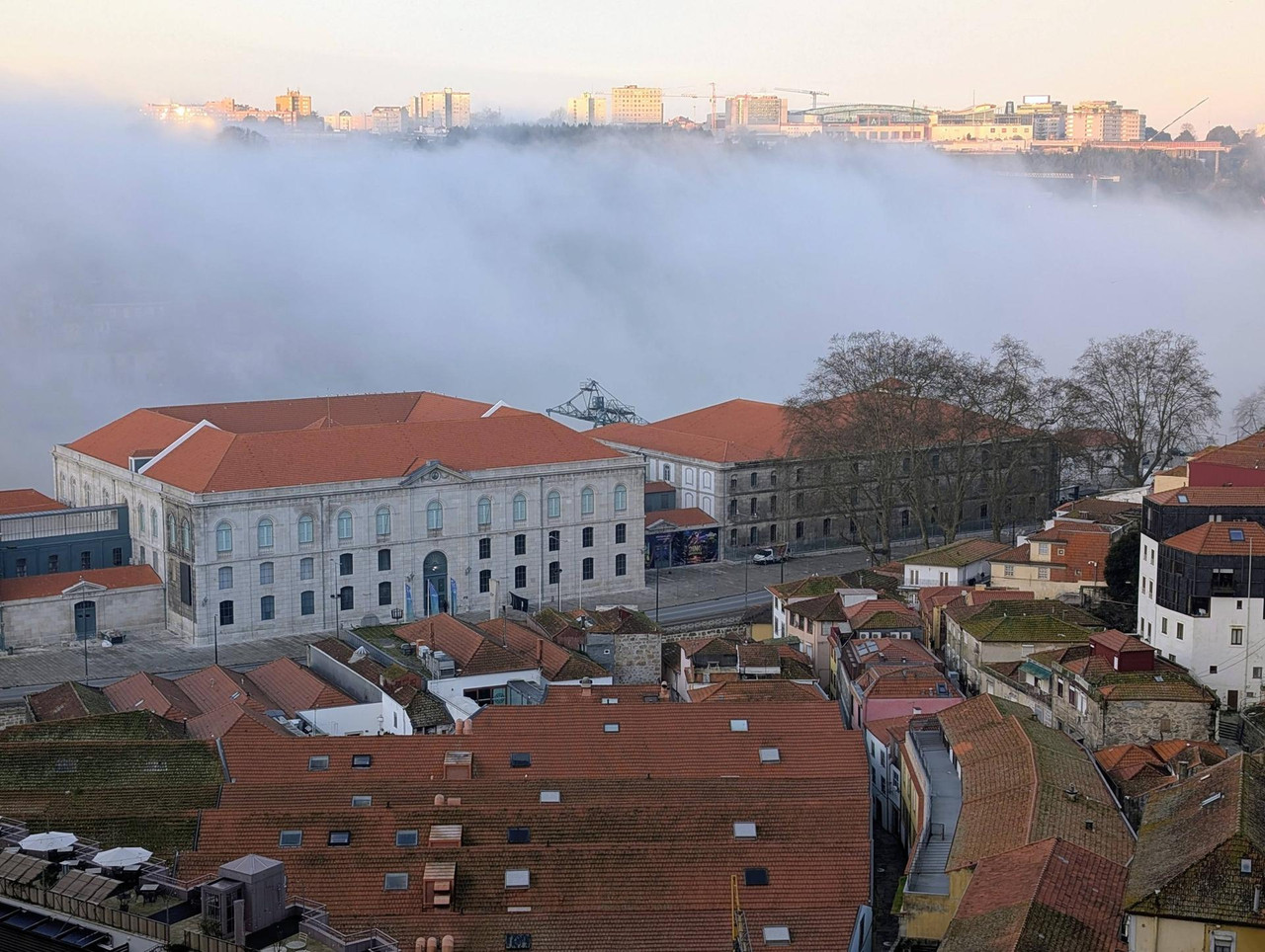 642191975 25574950468871249 5259724180610953449 n