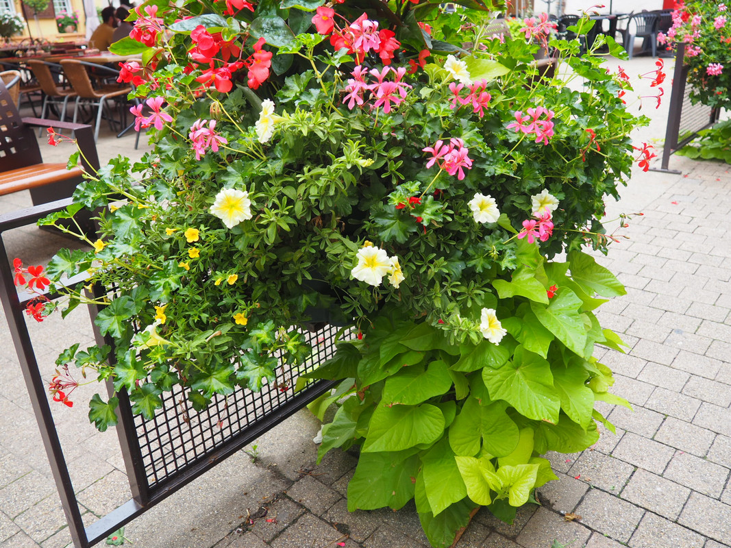 5CF455C6-68D9-4316-826F-CF109D626E20