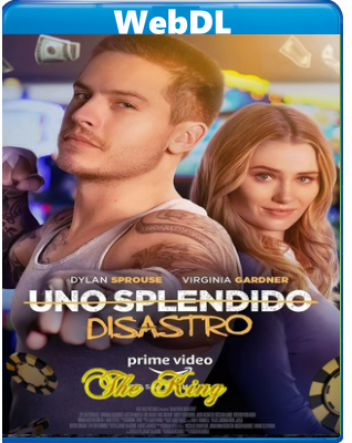 Uno splendido disastro (2023) WEB-DL 1080p x264 E-AC3+AC3 ITA ENG