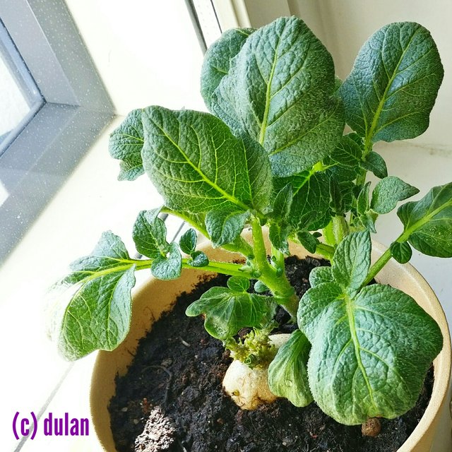 [Image: IMG_20250403_174158.jpg]