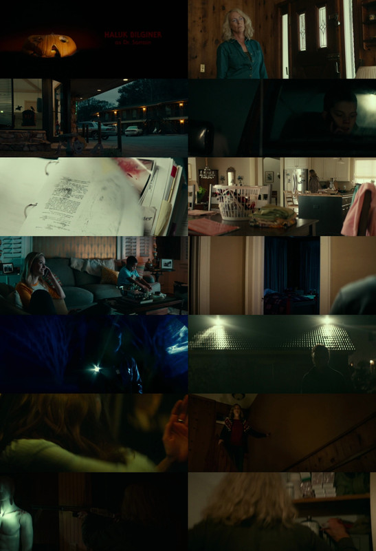 Halloween (2018) 1080p | 720p | 480p BluRay [Hindi (हिन्दी) + English] DD5.1 ESub