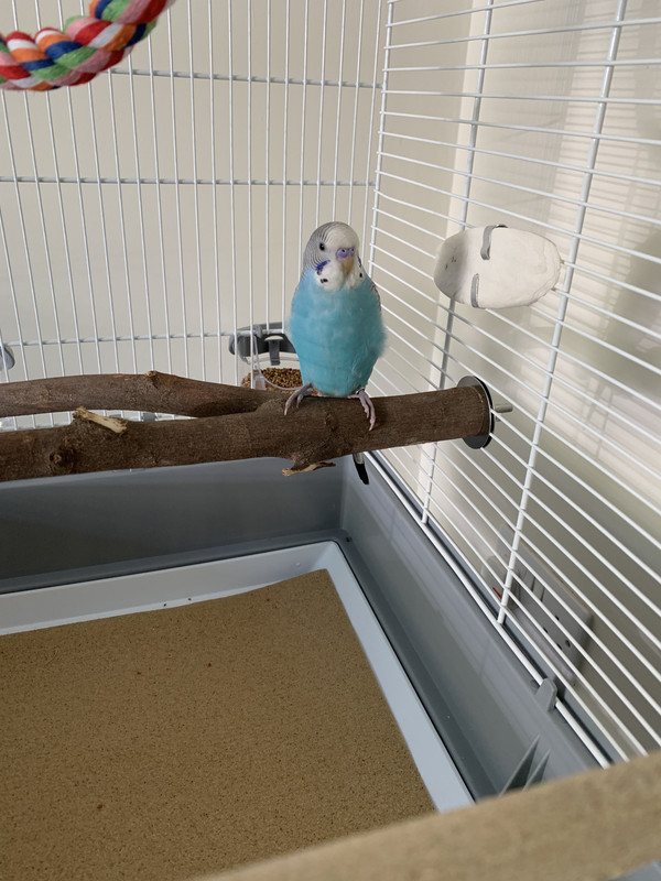 CD83E170-AE28-4C76-B90B-FE69E7FC0A0F