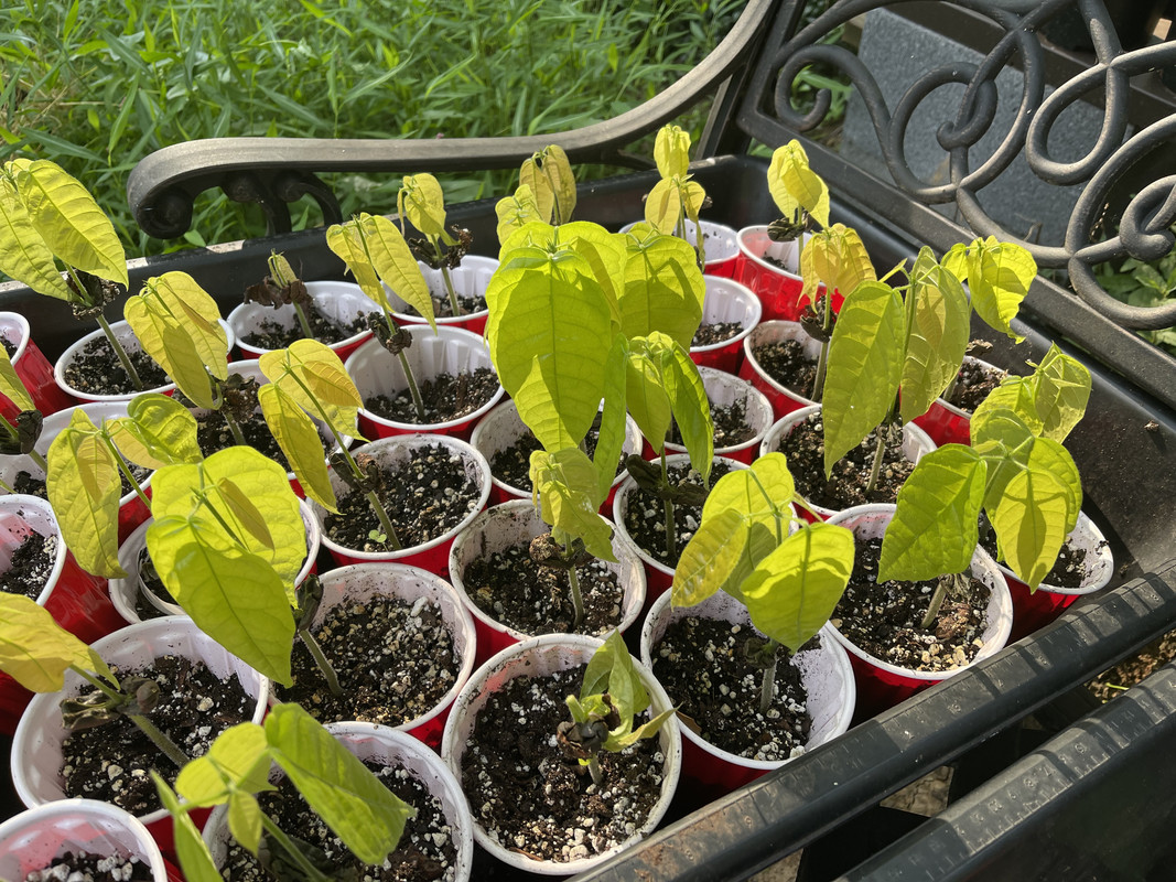 49A5ED3D-0377-4B7C-B902-533EE27D9739