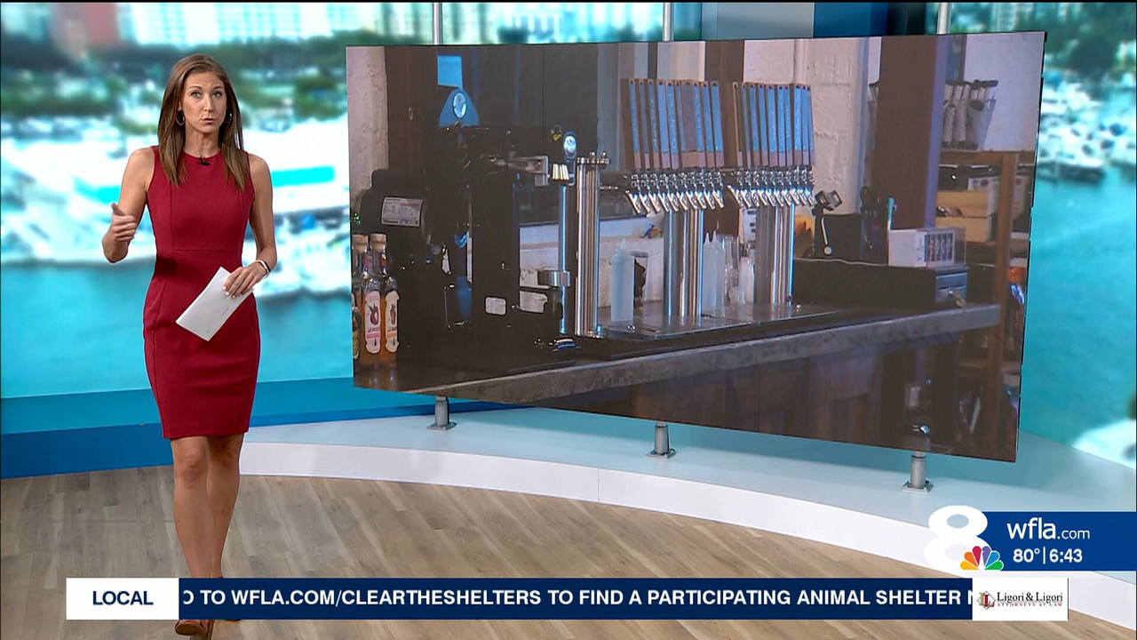 NewsChannel 8 Today at 6a_20230821_11001200.ts_snapshot_00.44.56.228