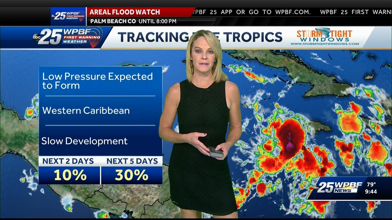 10.22 - 14.00.00 - WPBF 25 News at 9 00 AM..ts_snapshot_00.45.58.043