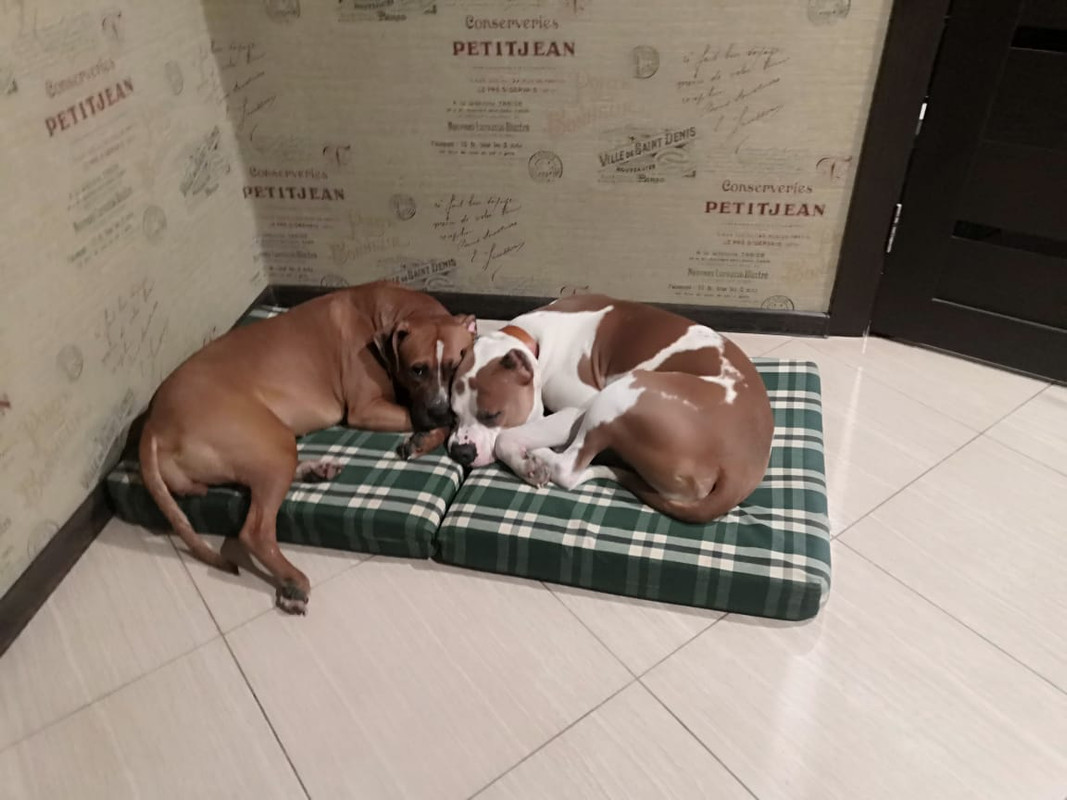 3B10F62C-261B-439A-BC4F-ED1A03CFD988