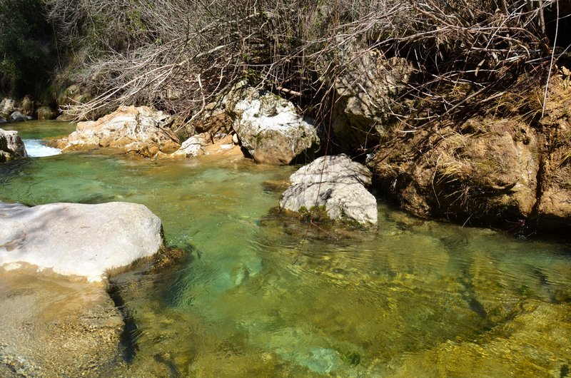 RUTA RIO BOROSA-12-3-2016-JAEN - Paseando por España-1991/2016 (39)