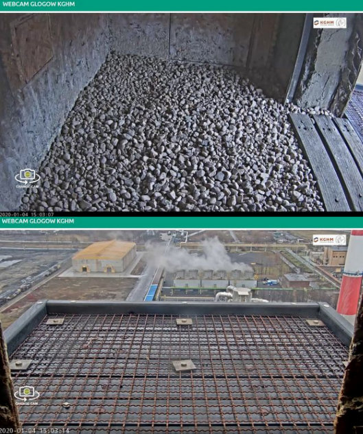 Głogów. Male Florek (6JM uit 2010) & Female Szira (9LS uit 2012) Przechwytywanie-w-trybie-pe-noekranowym-04-01-2020-151413
