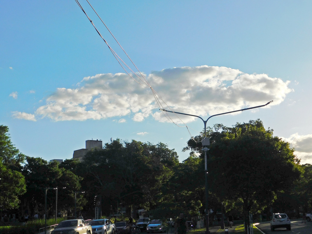 DSCN0310.jpg
