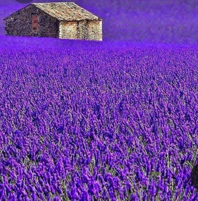 Screenshot_20230402_233250_Pinterest