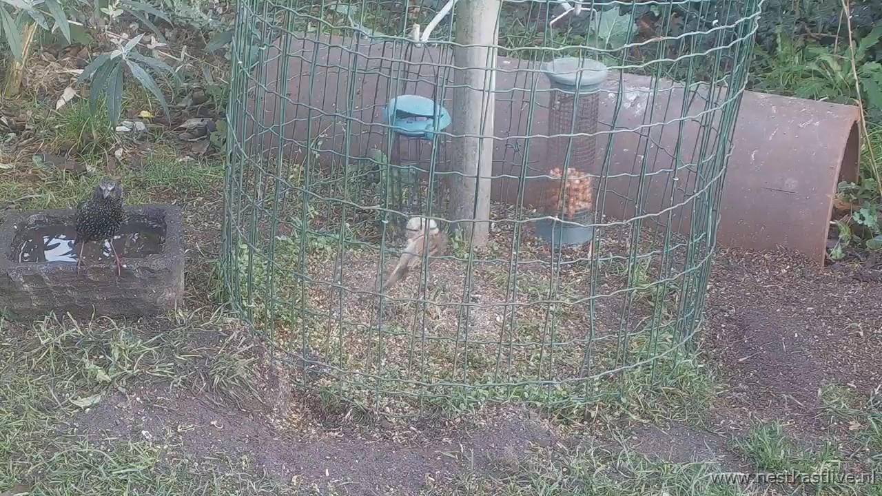 snapshot 2025 12 21T150833 222