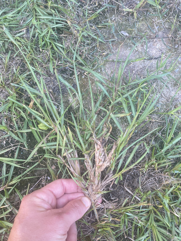 CA6C7D36-3B86-408A-89ED-1405E761448E