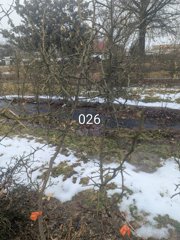 PXL 20260220 173151442 2