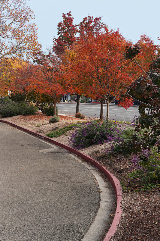 UT07486-97y.jpg