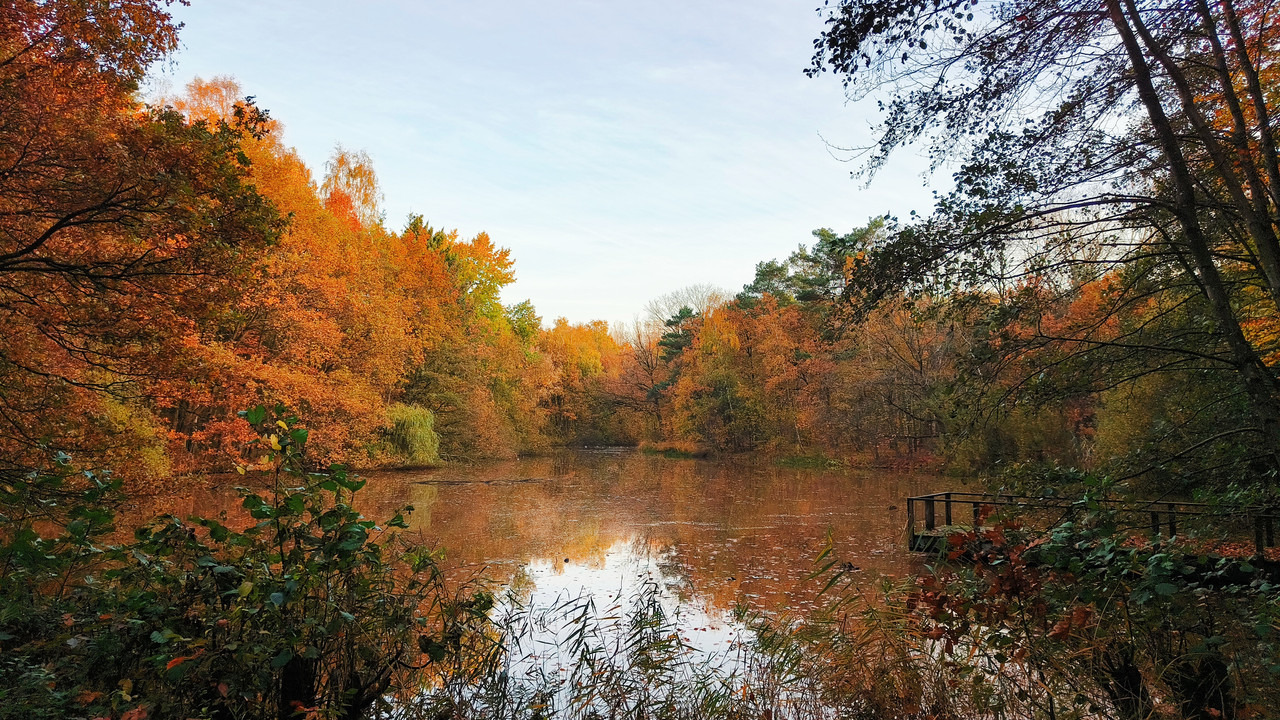 Lumii 20251106 082850434