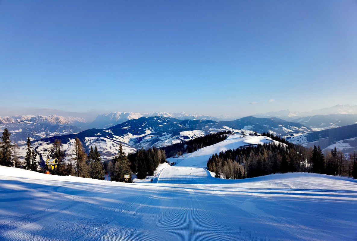 IMG_20220304_080724_edit_262846432331246