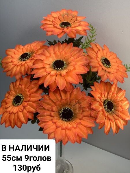 https://i.postimg.cc/wMyJNnC5/IMG-20240409-081357.jpg