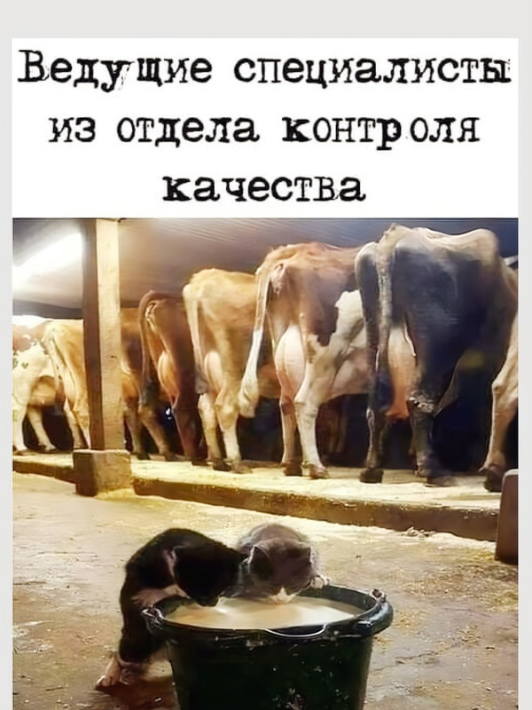 контроль качества