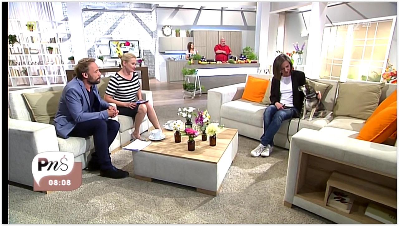 Screen Shot 06-16-15 at 01.58 PM 009