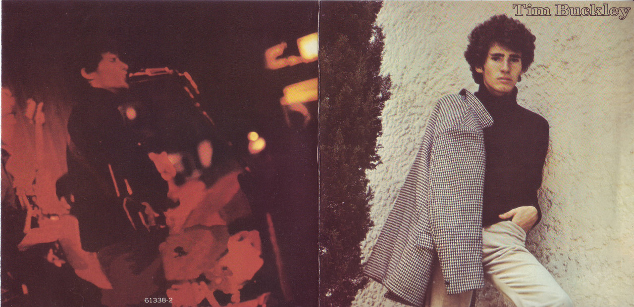 Tim Buckley Tim Buckley 1966 and Happy Sad 1969 EAC FLAC