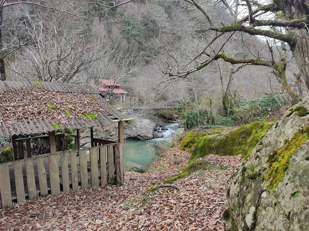 IMG-20211208-142612.jpg