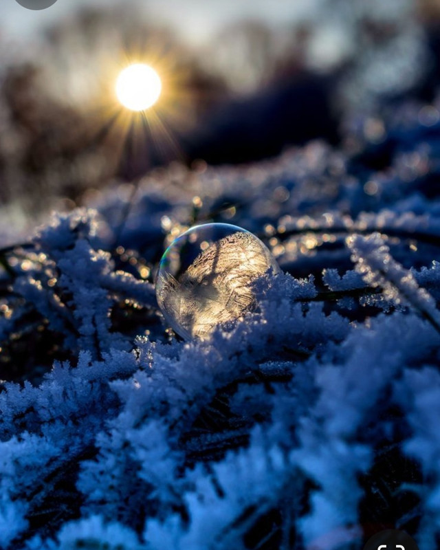 Screenshot_20231213_232756_Pinterest