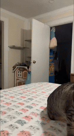92.gif