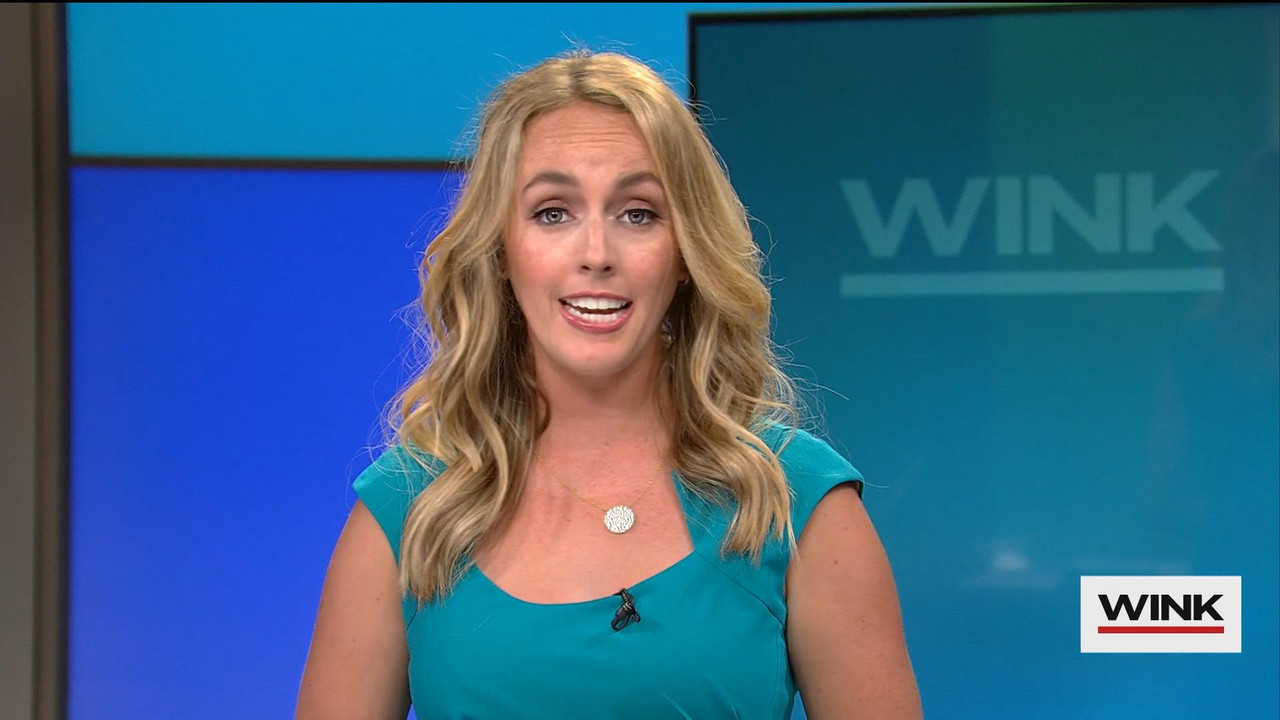 06.06 - 04.00.00 - WINK News @ 11PM Saturday. Local news, sports and ....ts_snapshot_20.24_[2021.06.