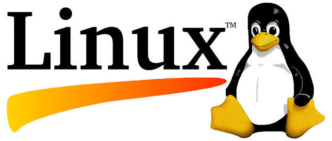 Tux, o mascote do Linux, representando a evolução histórica do kernel Linux