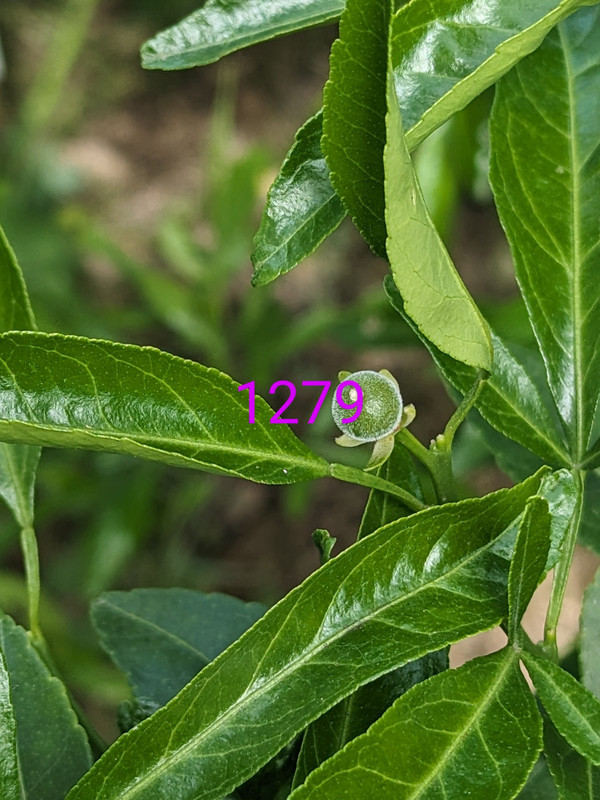 PXL_20240602_192927981~2